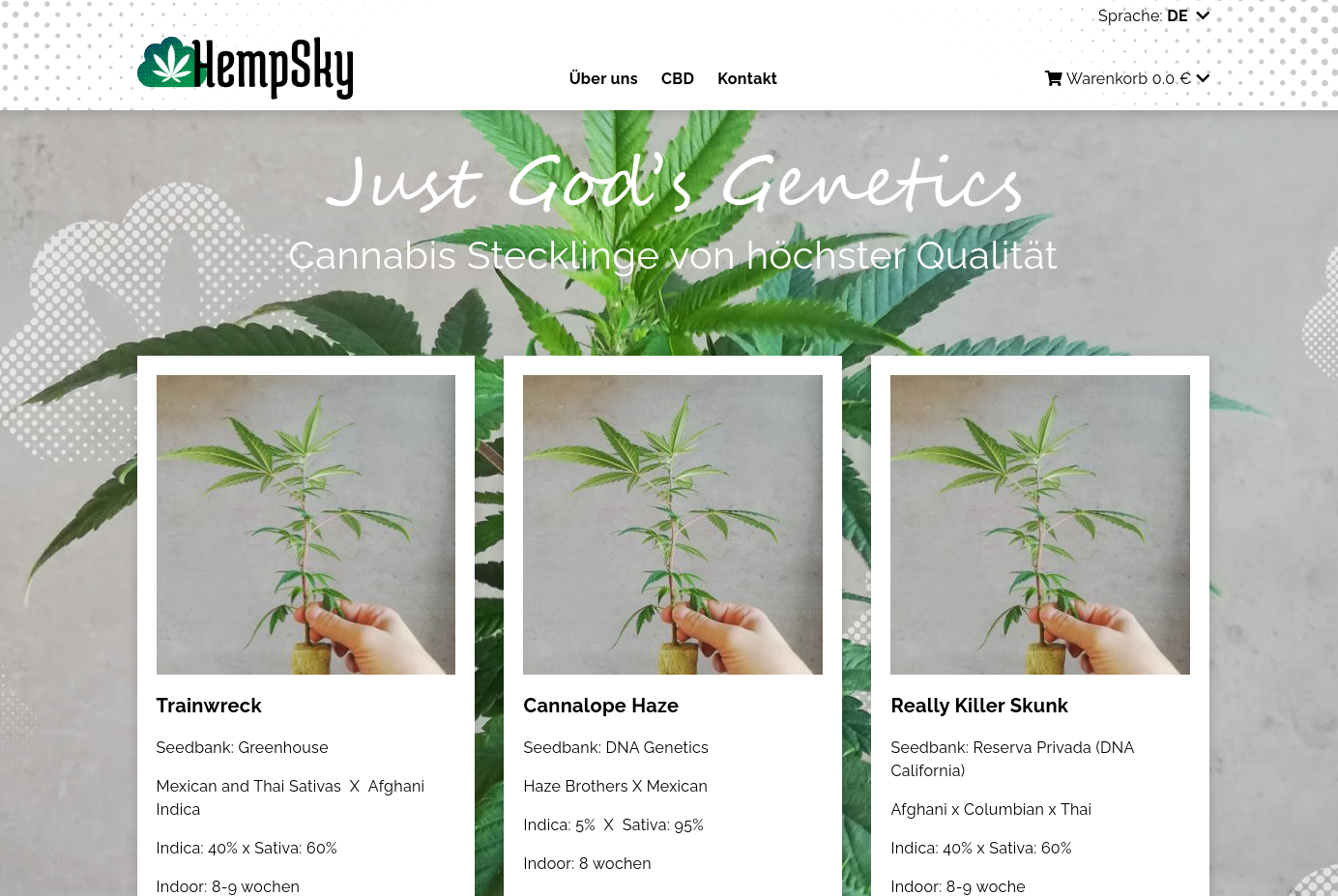 Hempsky.at